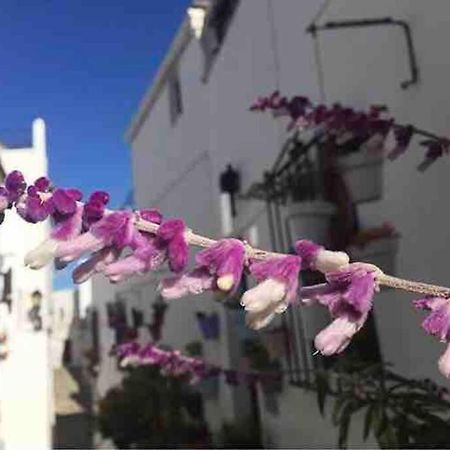 Casa Arena Y Sal En Pleno Casco Antiguo De Vejer Villa Vejer de la Frontera Dış mekan fotoğraf